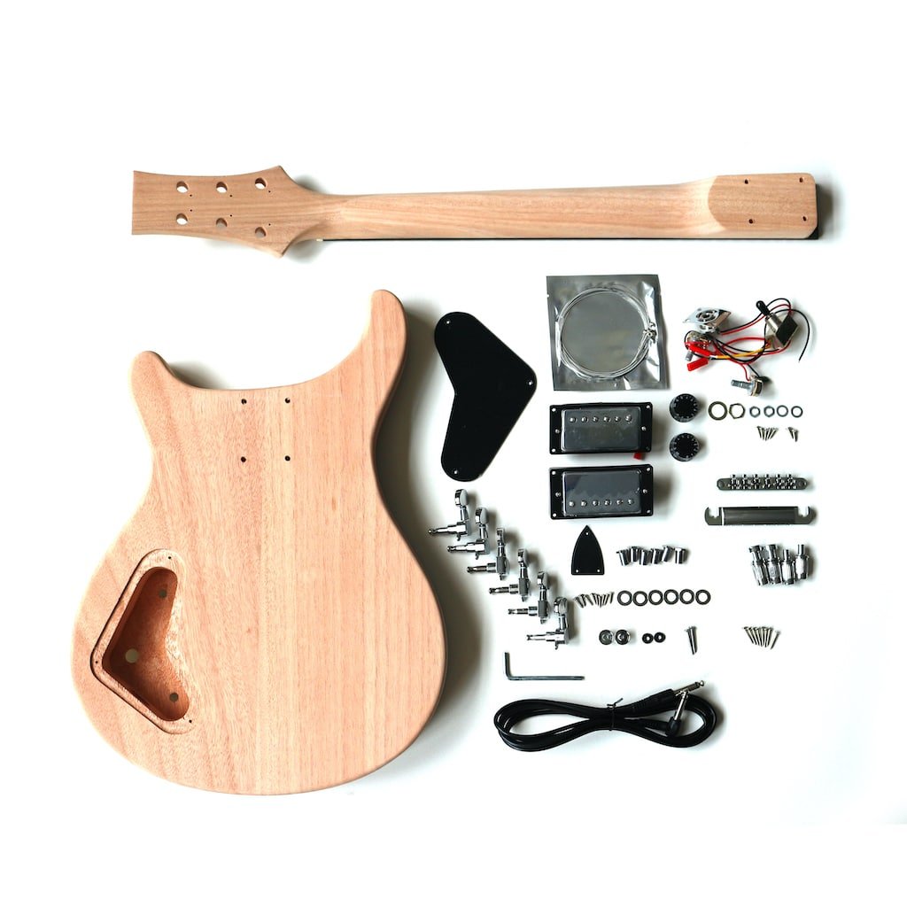 PR844 (10) Electric Guitar DIY Kit PR844 Back