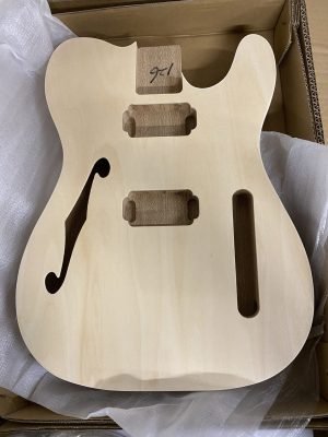 Electric Guitar DIY Kit TL6A